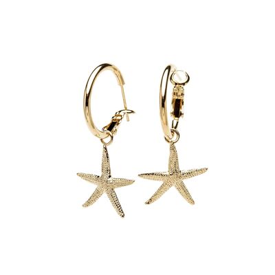 Cléia Gold Star Mini Hoop Earrings
