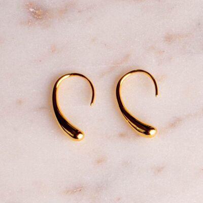 Hook earrings gold plated small chunky