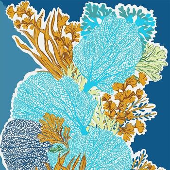 Etole pareo en coton motif marin et vacances : coraux et mer, bleu marine 2