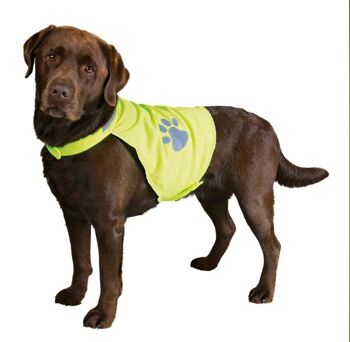 Produits pour animaux de compagnie - Gilets de sécurité jaunes fluo pour chiens 1