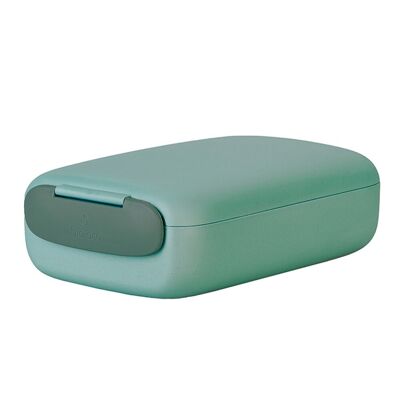 bioloco plant Urban Lunchbox rectangle - rosemary