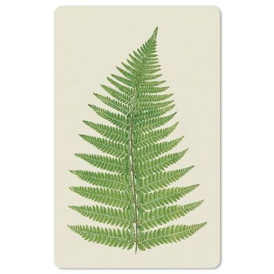 Lunacard postcard *Fern