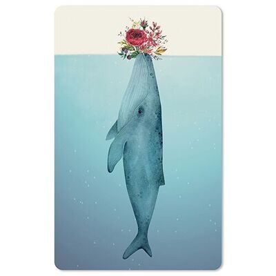 Lunacard postcard *Whale