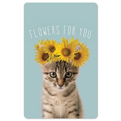 Lunacard Postkarte *Sunflower cat