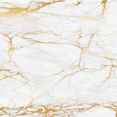 Placemats I Washable placemats - white marble with gold veins