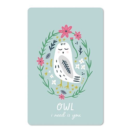 Lunacard Postkarte *Owl i need is you