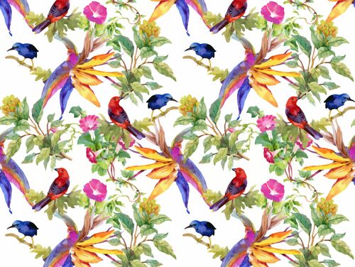 Tischsets | Platzsets abwaschbar - Tropische Zweige mit bunten Vögeln