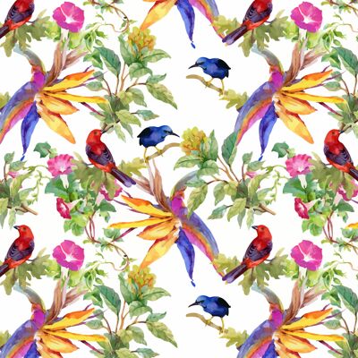 Napperons | Sets de table lavables - branches tropicales avec oiseaux colorés