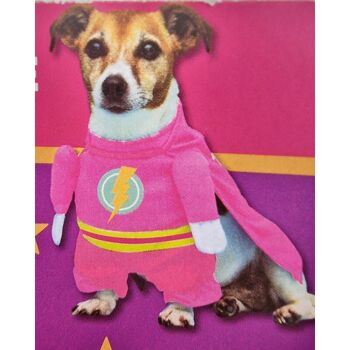 Produits pour animaux de compagnie - Déguisements de héros Bella & Max pour chiens 7