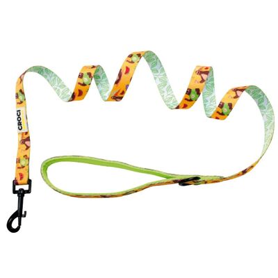 Sancho leash