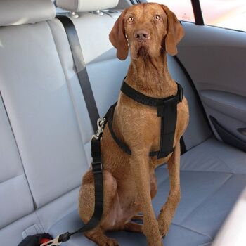 Harnais avec ceinture de sécurité pour chien pour voiture - Safety Belt 4