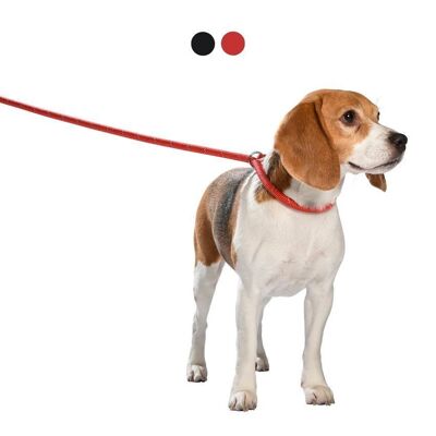 2in1 Bobby Leash and Collar - Walk