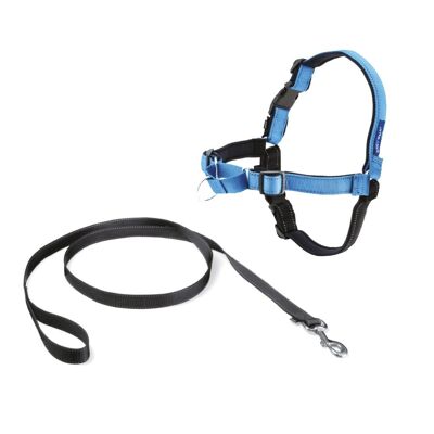 Easy Walk Deluxe dog harness - Ocean Blue