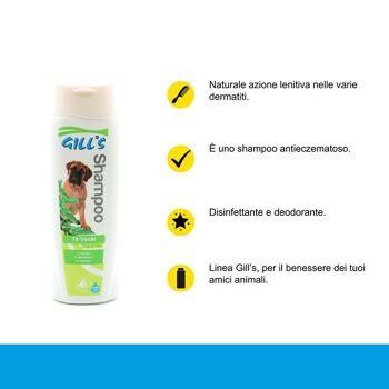 Shampoing pour dermatite de chien et chat au Thé Vert - Gill's 2