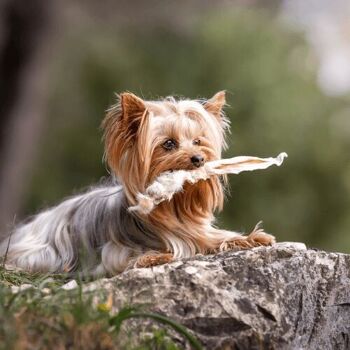 Niki Natural Barf Oreilles de lapin avec collations en fourrure pour chiens 3