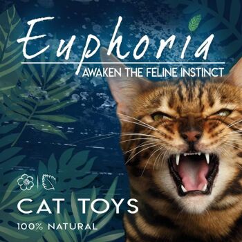 Boule d'herbe à chat avec plume - Euphoria 2