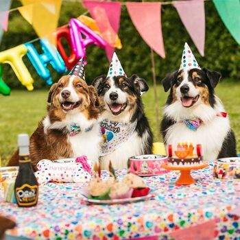Peluche pour chien - Party Cake 2