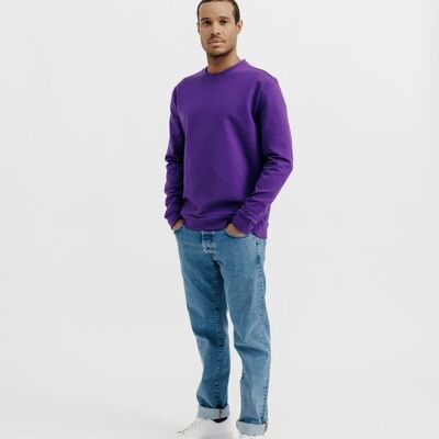 Purple Hercules sweatshirt in organic cotton