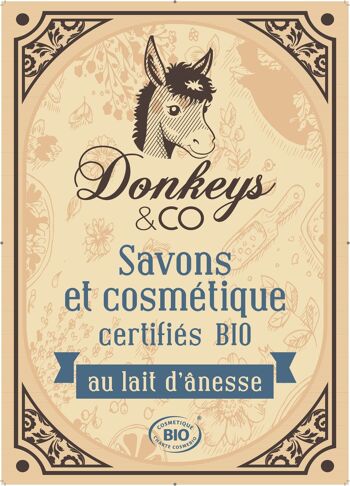 Poster Donkeys & Co. 1