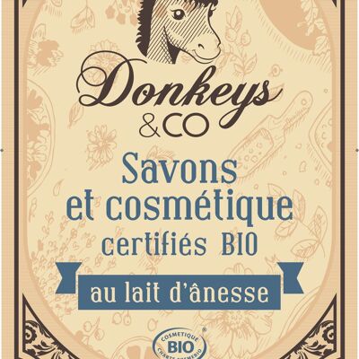 Poster Donkeys & Co.