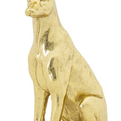 DOG GOLD CM 20X12,5X33 D011632000R