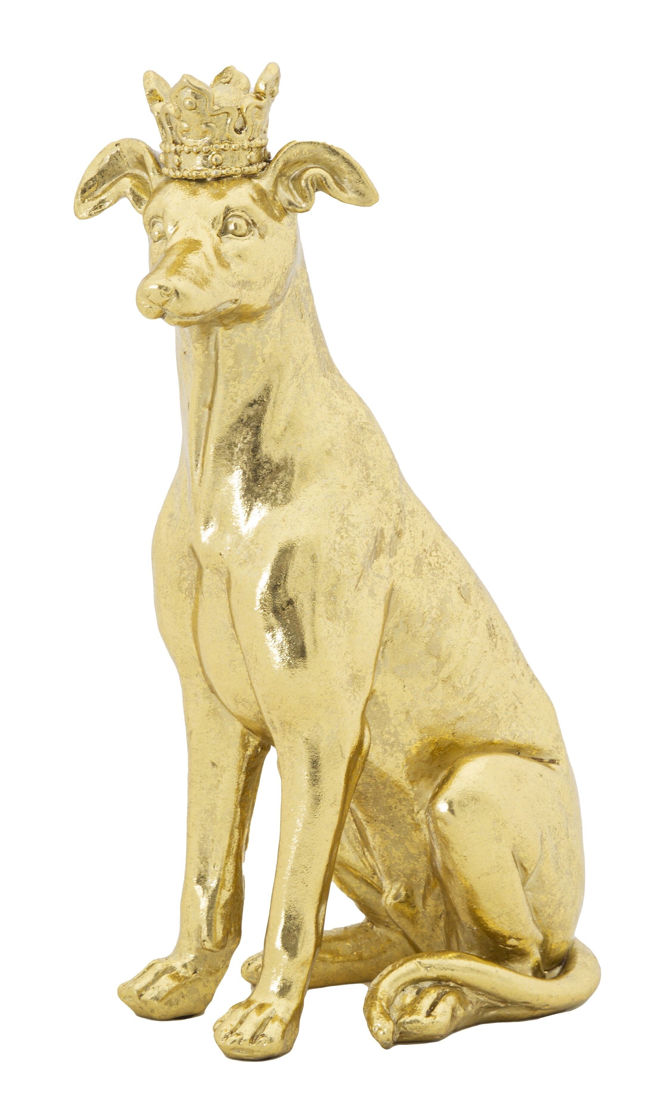 DOG GOLD CM 20X12,5X33 D011632000R