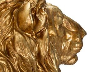 LION D'OR CM 67X36,5X80 D119450000 8