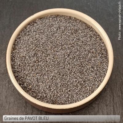 PAVOT BLEU graines