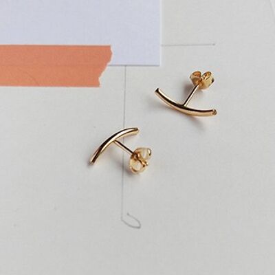 Portion earrings