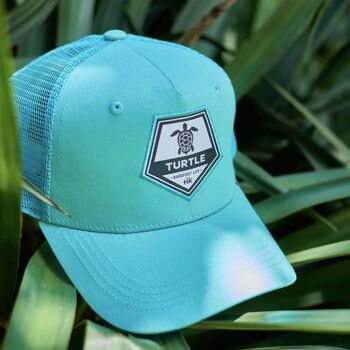 Casquette Tortue Bleu Turquoise 4