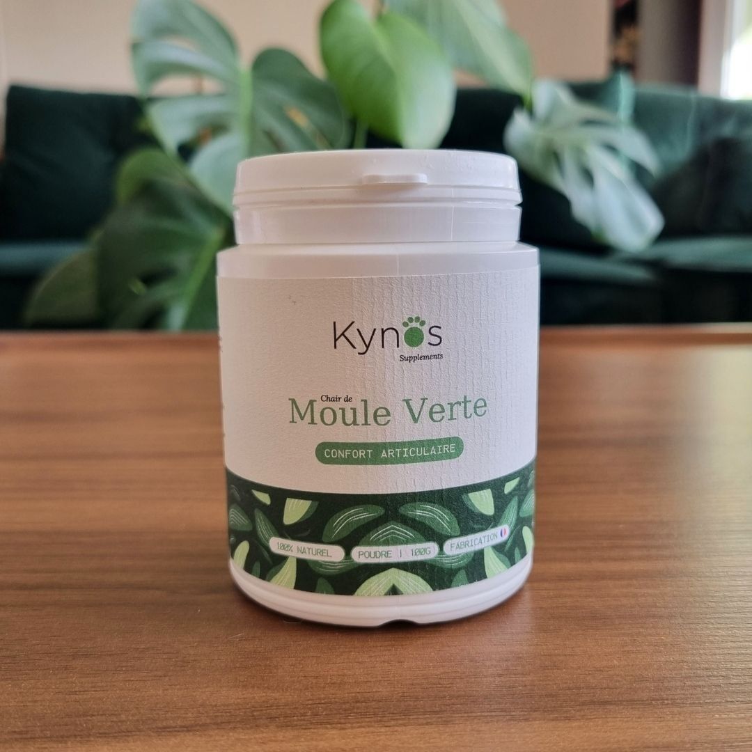 Grünes Muschelpulver – Gelenkkomfort für Hunde – 100 g