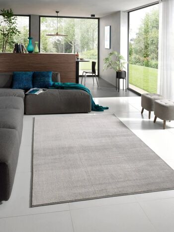 Tapis CALIFORNIA 720 gris 2