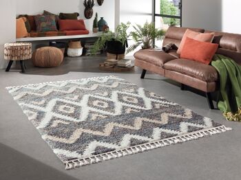 Tapis HONORE 411 gris 4