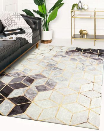 Tapis STAMPA 2227 gris 2