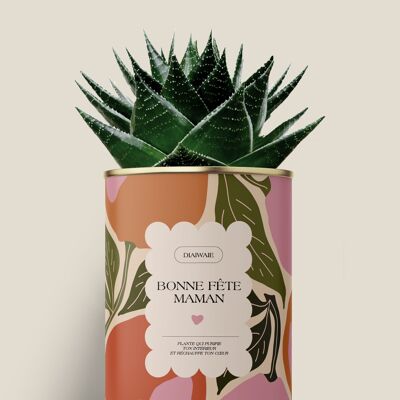 Alles Gute zum Muttertag - Aloe / Kaktus