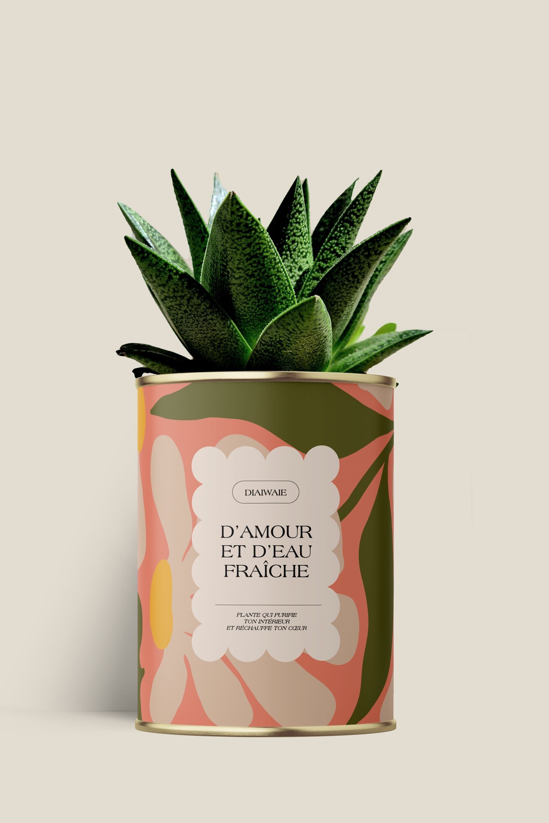 Love and fresh water - Aloe / Cactus