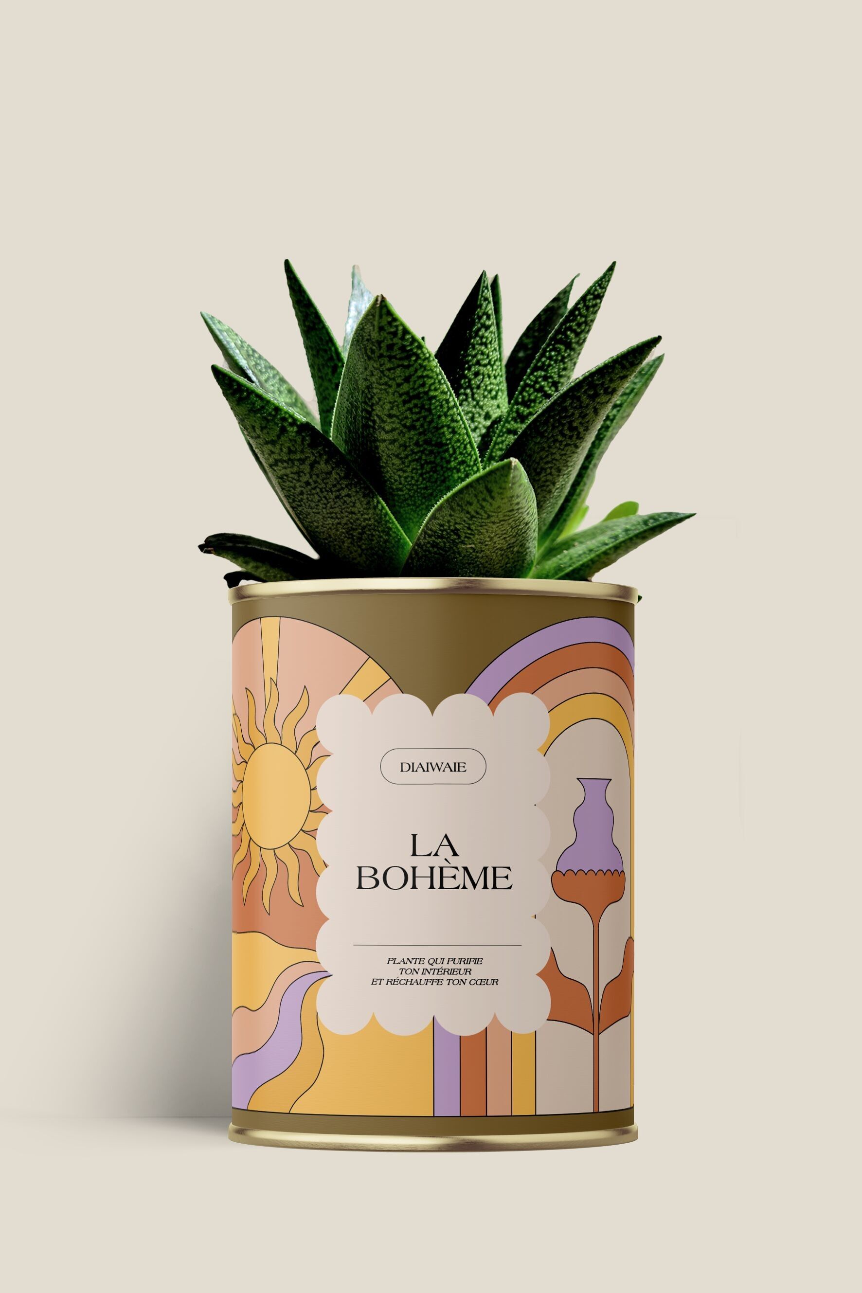 Boemia – Aloe/Cactus