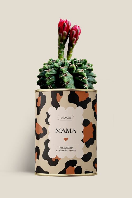 MAMA - Aloé / Cactus