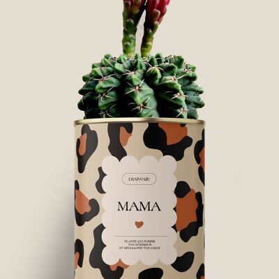 MAMA - Áloe / Cactus