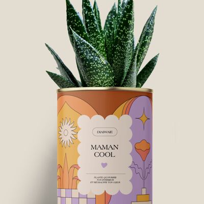 Coole Mama - Aloe / Kaktus