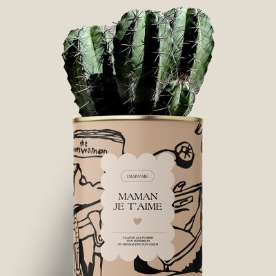 Maman je t'aime - Aloé / Cactus