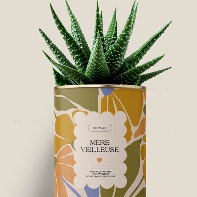 Mère veilleuse - vert - Aloé/Cactus