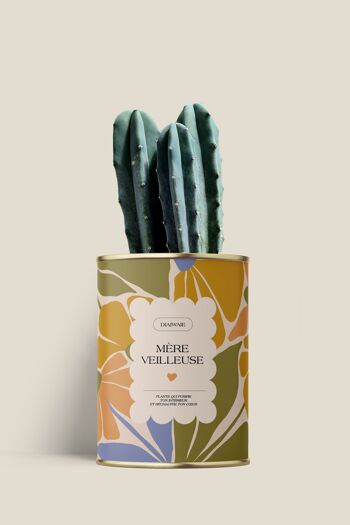 Mère veilleuse - vert - Aloé/Cactus 4