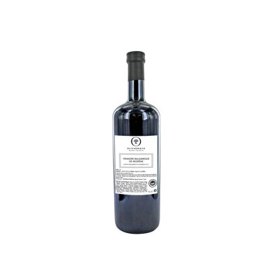 SUP ALL'ACETO BALSAMICO 1 L.