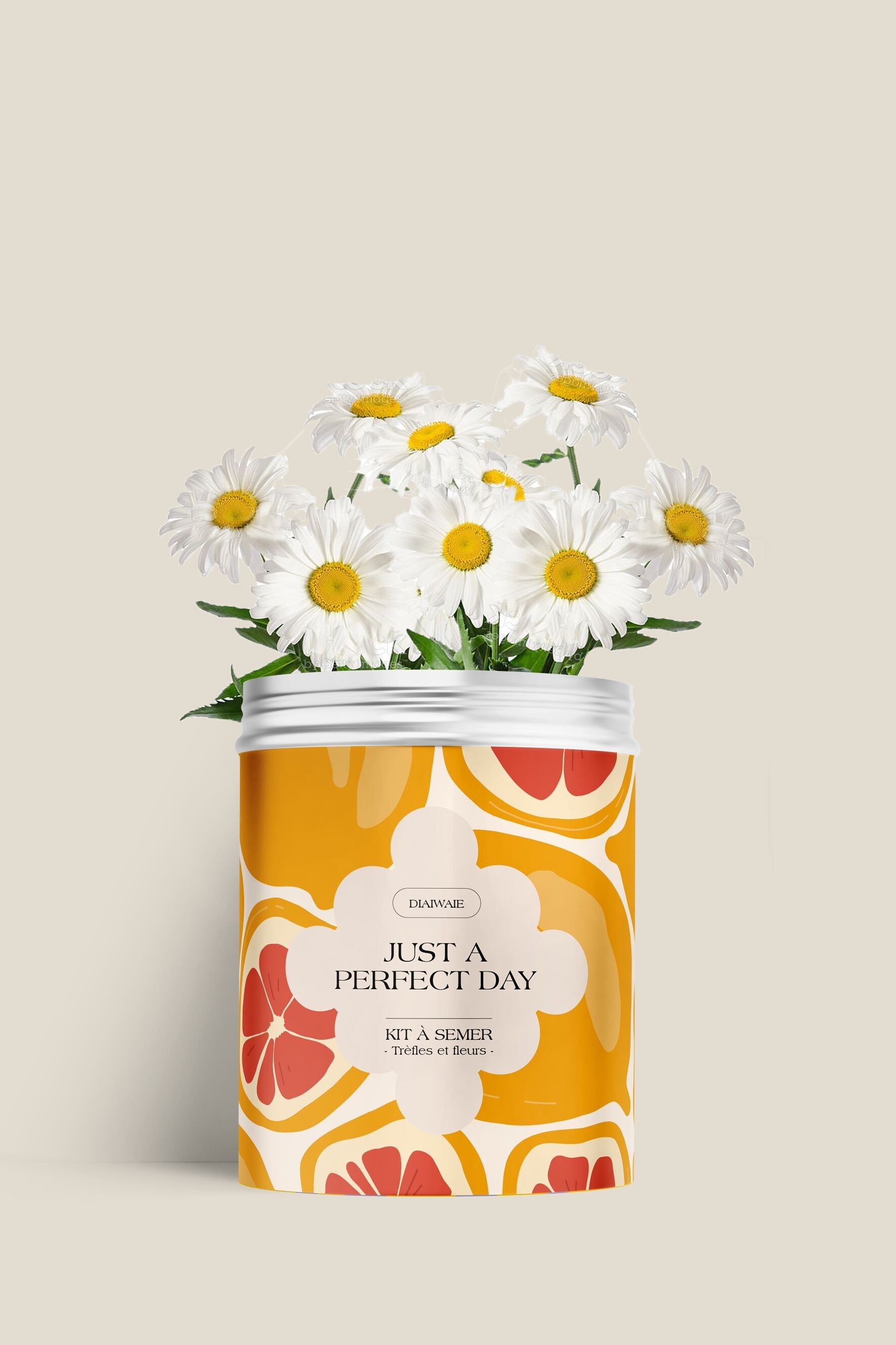 Kit de siembra - Simplemente un día perfecto