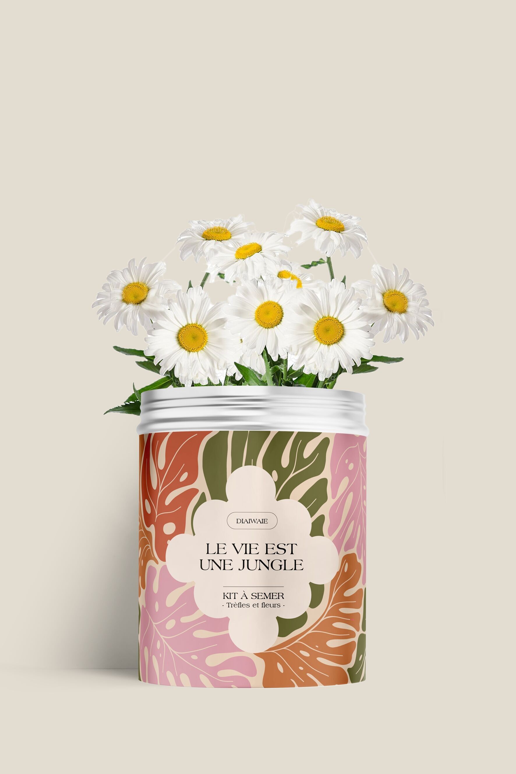 Kit de siembra - La vida es una jungla