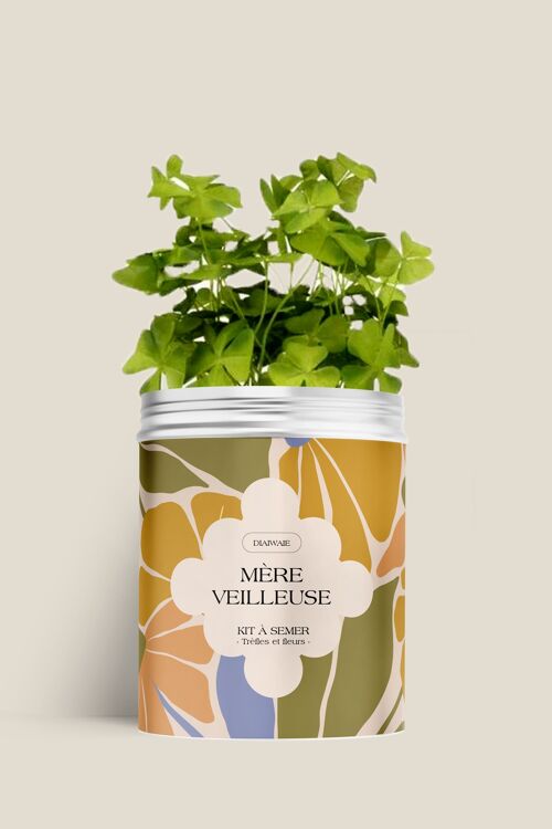 Kit à semer - Mère veilleuse - vert