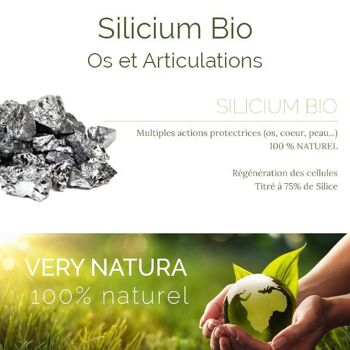 Silicium Bio : Os & Articulations 3