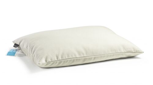 Buckweat hull pillow