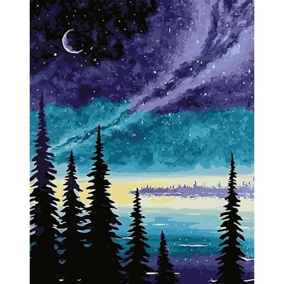 Peinture par numéros "Une nuit dans la forêt" - 40x50 cm